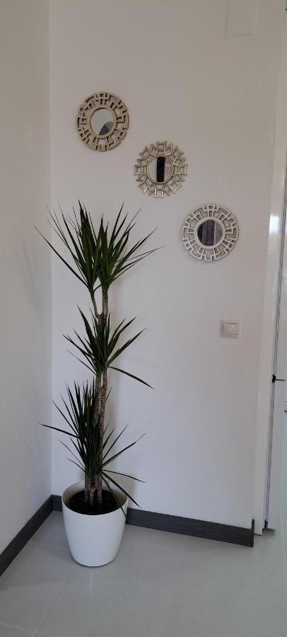 Apartamento Heco Peñíscola Extérieur photo